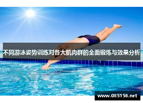 不同游泳姿势训练对各大肌肉群的全面锻炼与效果分析