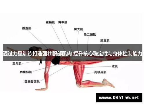 通过力量训练打造强壮腹部肌肉 提升核心稳定性与身体控制能力