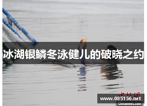 冰湖银鳞冬泳健儿的破晓之约