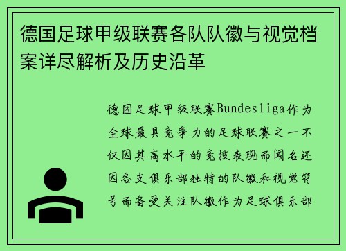 德国足球甲级联赛各队队徽与视觉档案详尽解析及历史沿革