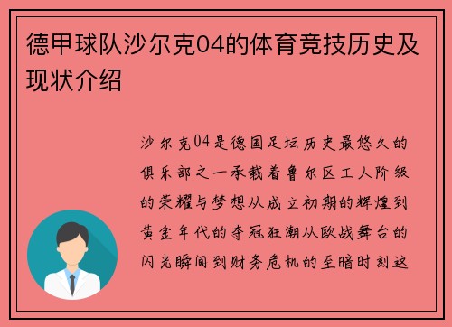 德甲球队沙尔克04的体育竞技历史及现状介绍