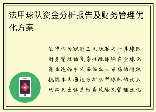 法甲球队资金分析报告及财务管理优化方案